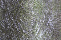 Pillerton Priors fibreglass roof work